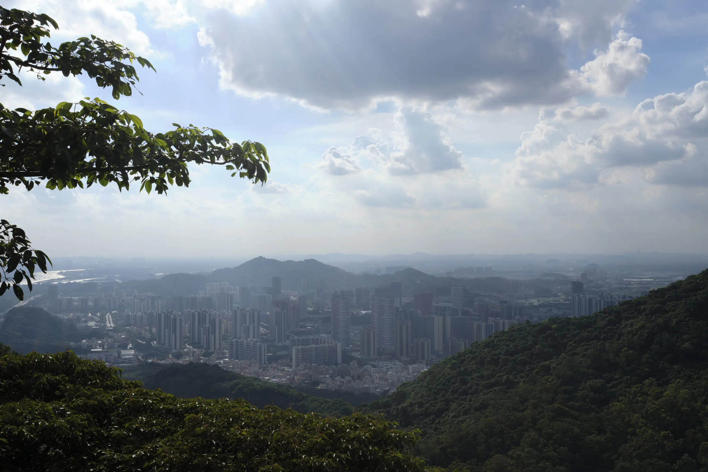 城市
